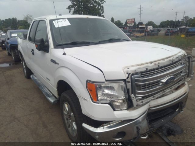 FORD F-150 2014 1ftfx1et2efc53002