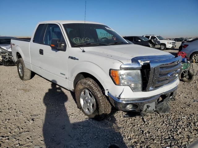 FORD F150 SUPER 2011 1ftfx1et3bfc07657