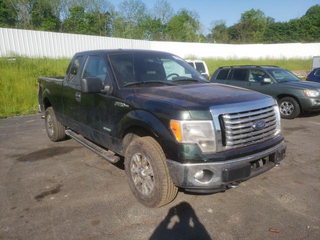 FORD F-150 2012 1ftfx1et3cfc46573