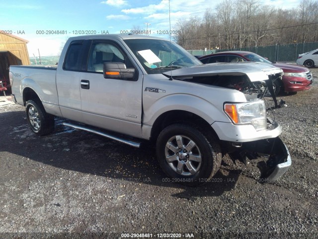 FORD F-150 2013 1ftfx1et3dfa03444