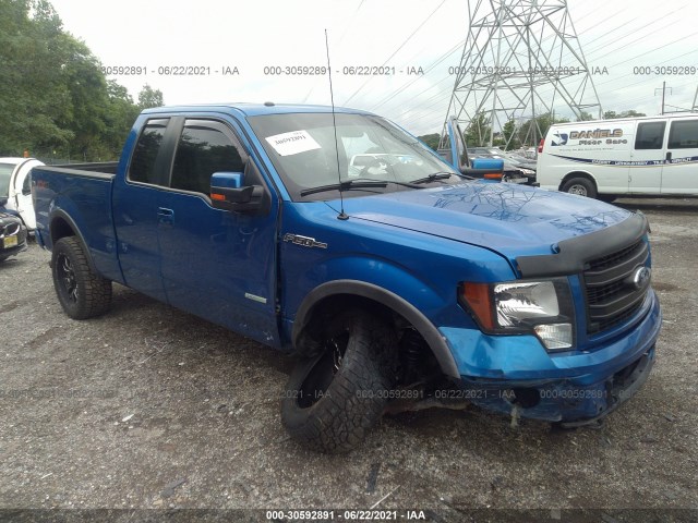 FORD F-150 2013 1ftfx1et3dfa87622