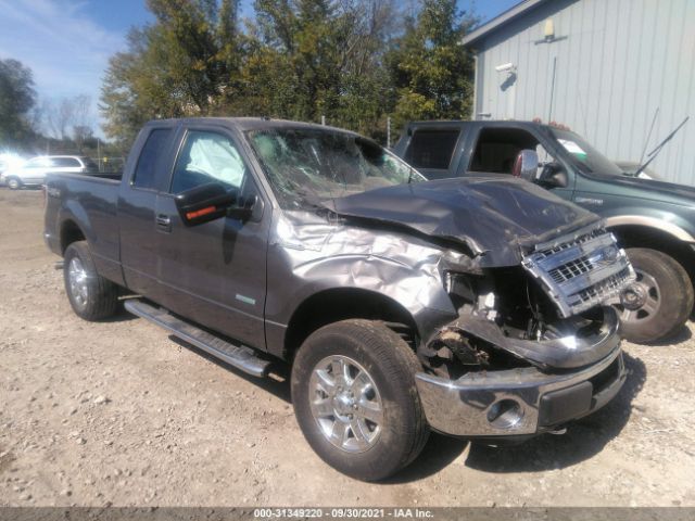 FORD F-150 2013 1ftfx1et3dfb07643