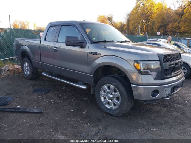 FORD F-150 2013 1ftfx1et3dfd09852