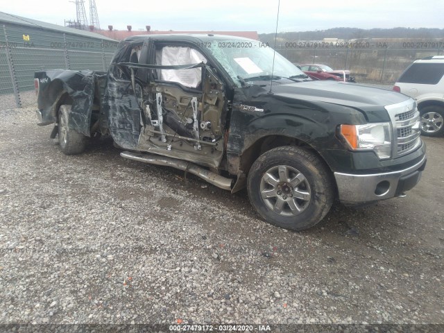 FORD F-150 2013 1ftfx1et3dfd32306