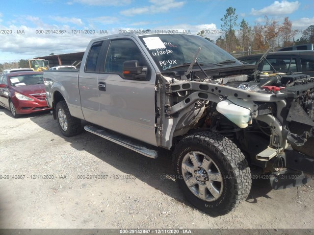 FORD F-150 2013 1ftfx1et3dfd53446