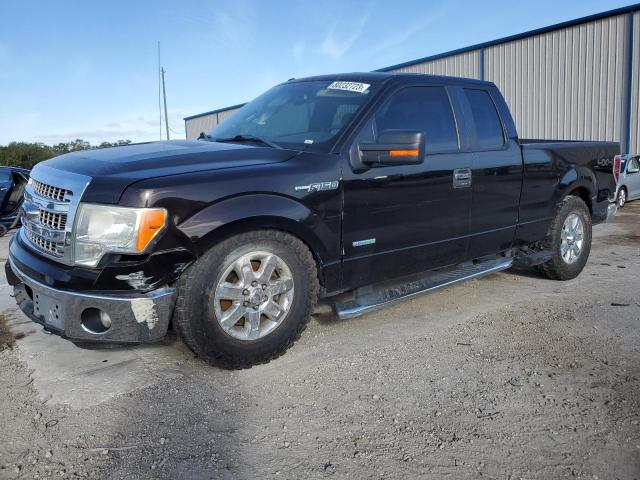 FORD F-150 2013 1ftfx1et3dkf34845