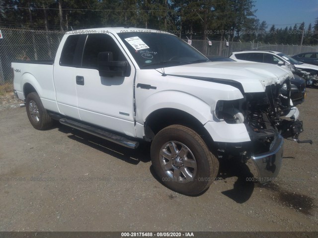 FORD F-150 2013 1ftfx1et3dkf80398