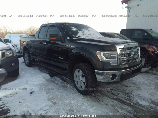 FORD F-150 2014 1ftfx1et3ekf08361