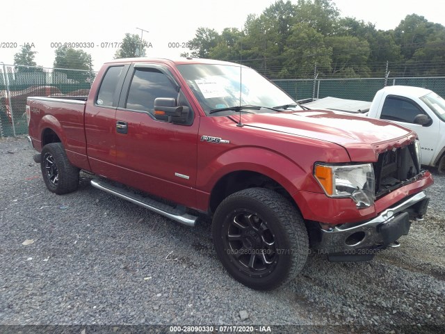 FORD F-150 2011 1ftfx1et4bfa65447