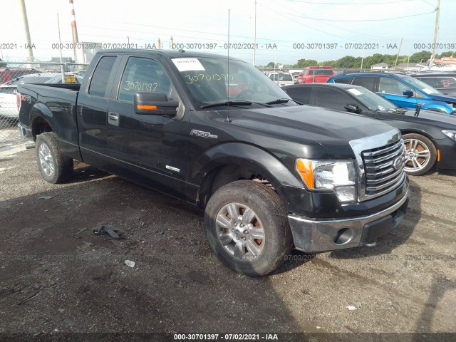 FORD F-150 2011 1ftfx1et4bfa88694