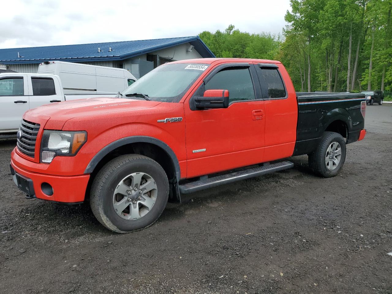 FORD F-150 2011 1ftfx1et4bfb80081