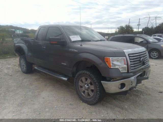 FORD F-150 2011 1ftfx1et4bfd19111