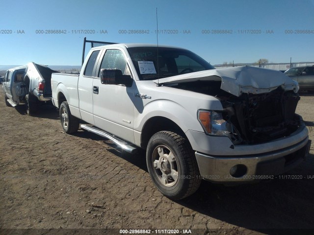 FORD F-150 2011 1ftfx1et4bkd98237