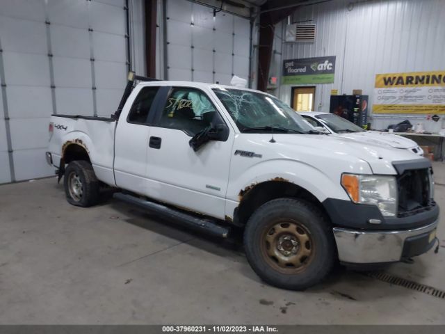 FORD F-150 2012 1ftfx1et4cfa89992