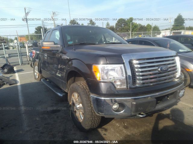 FORD F-150 2012 1ftfx1et4cfb05902