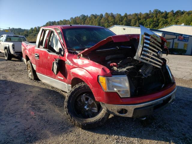 FORD F150 SUPER 2012 1ftfx1et4cfb82141