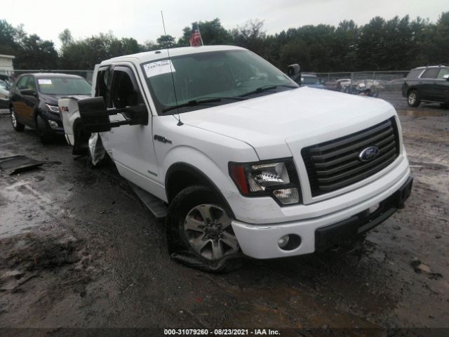 FORD F-150 2012 1ftfx1et4cfc15235