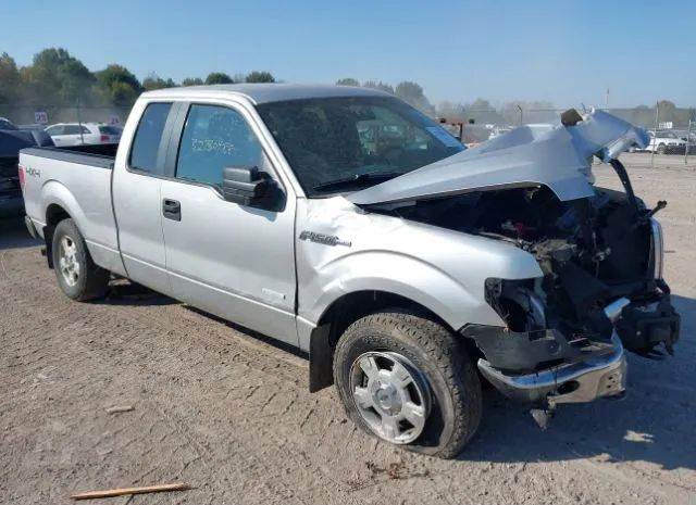 FORD F-150 2013 1ftfx1et4dfb53871