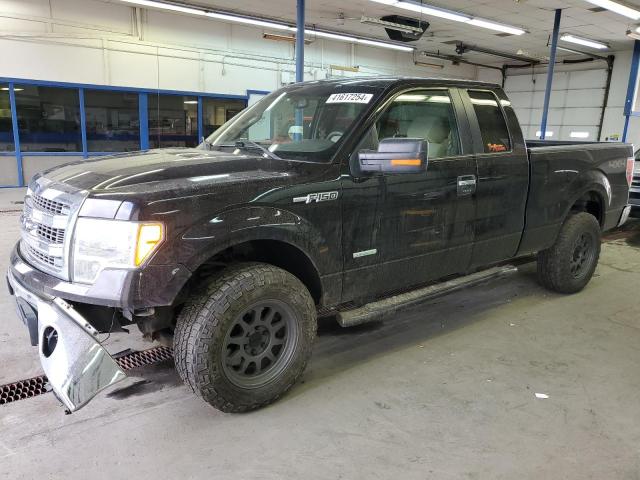 FORD F-150 2013 1ftfx1et4dfb76518