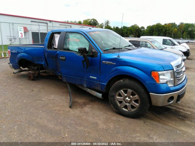 FORD F-150 2013 1ftfx1et4dfc60953