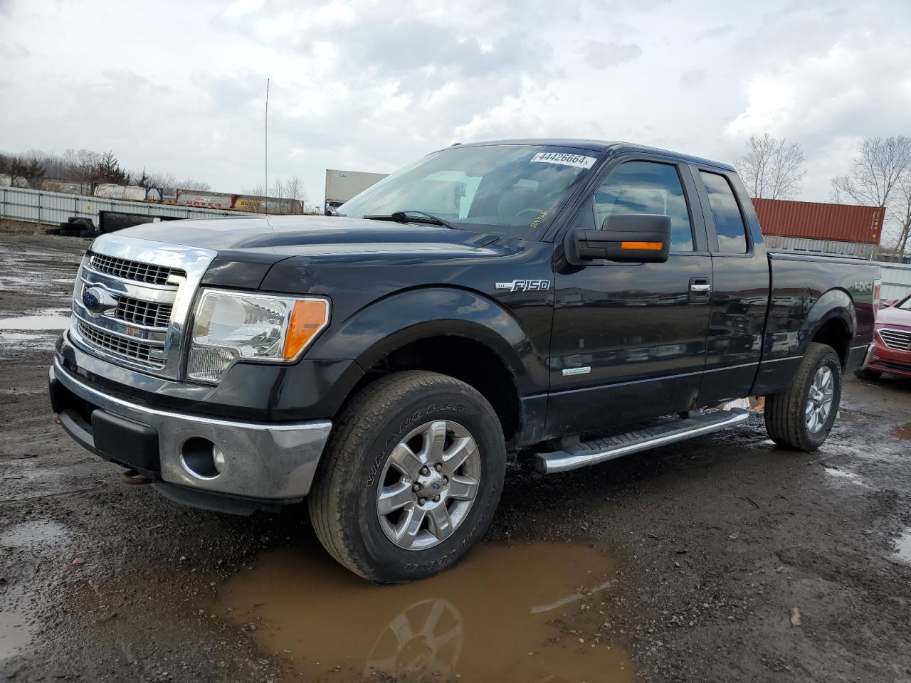 FORD F-150 2013 1ftfx1et4dfd01811