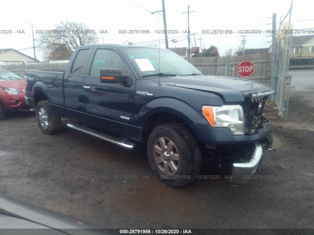 FORD F-150 2014 1ftfx1et4efa22523