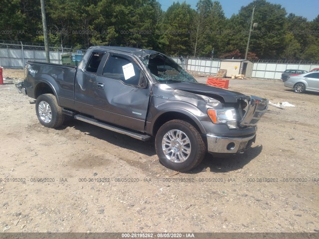 FORD F-150 2012 1ftfx1et5cfc46462