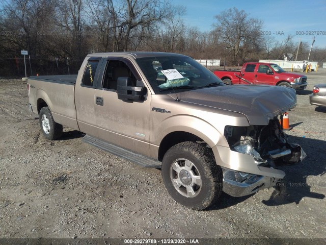 FORD F-150 2012 1ftfx1et5ckd21863