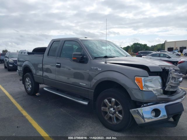 FORD F-150 2013 1ftfx1et5dfb58514