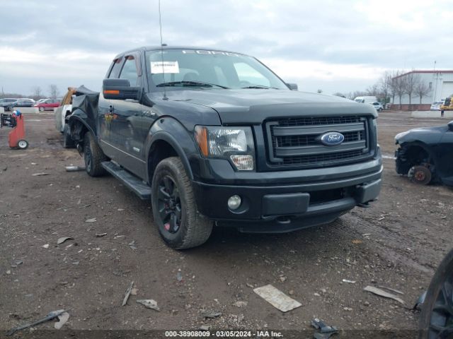 FORD F-150 2013 1ftfx1et5dfc00776