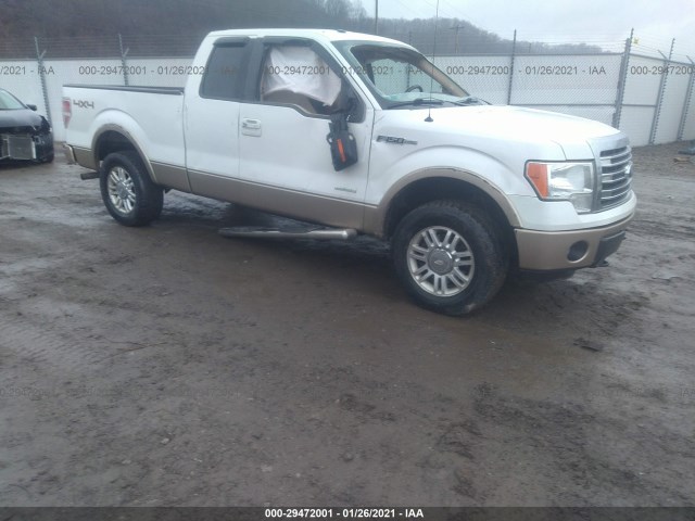 FORD F-150 2013 1ftfx1et5dfc69015