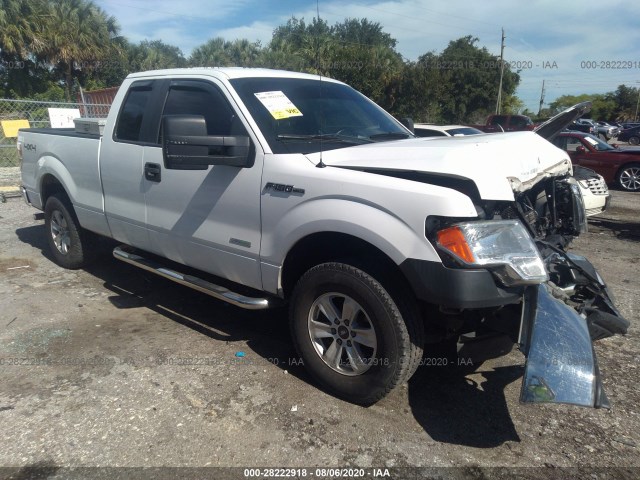 FORD F-150 2013 1ftfx1et5dkf55079