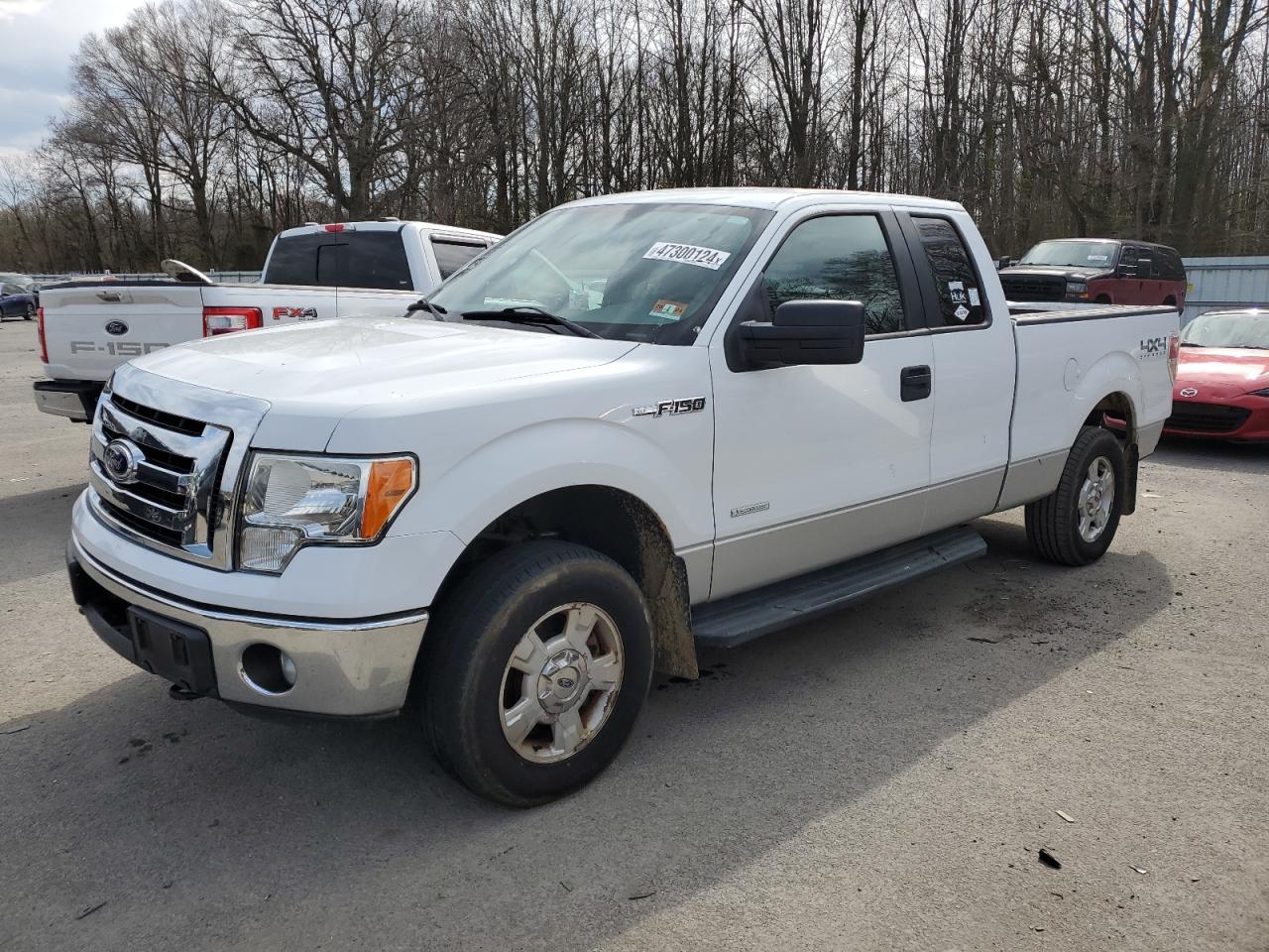 FORD F-150 2011 1ftfx1et6bfc24856