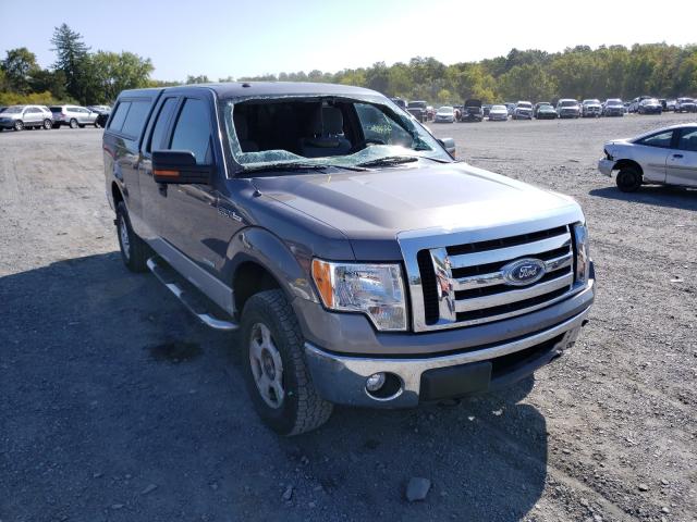 FORD F150 SUPER 2011 1ftfx1et6bkd82881