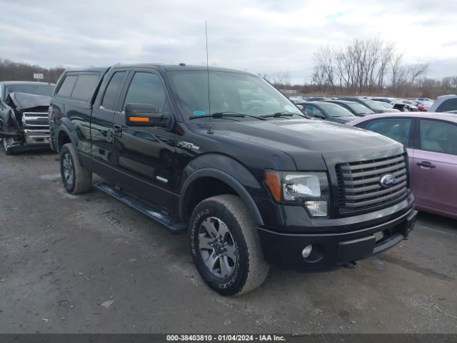 FORD F-150 2012 1ftfx1et6cfb22197