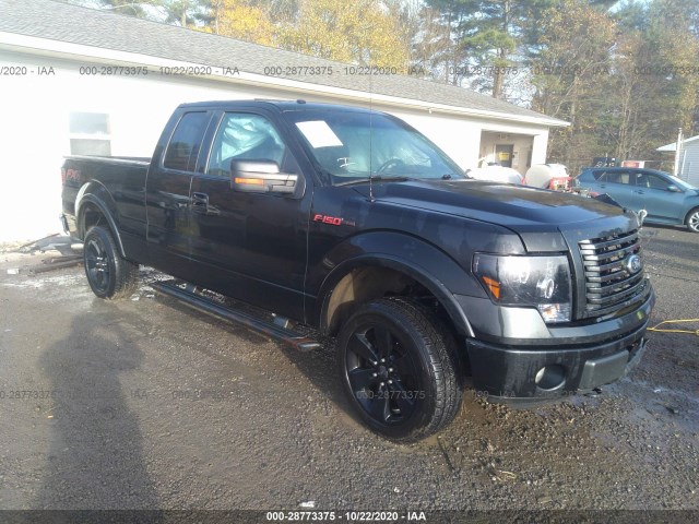 FORD F-150 2012 1ftfx1et6cfc07654