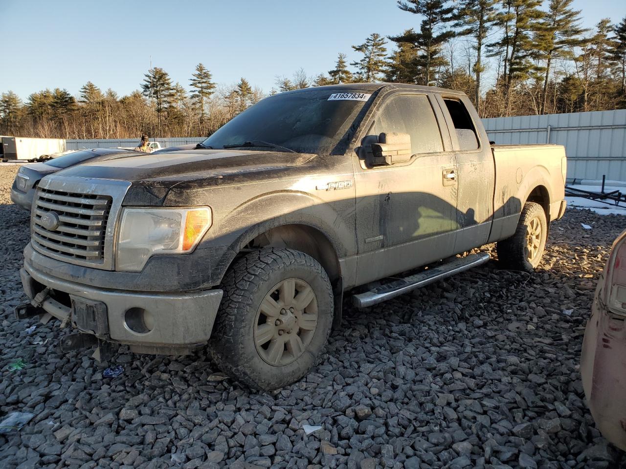 FORD F-150 2012 1ftfx1et6ckd01489