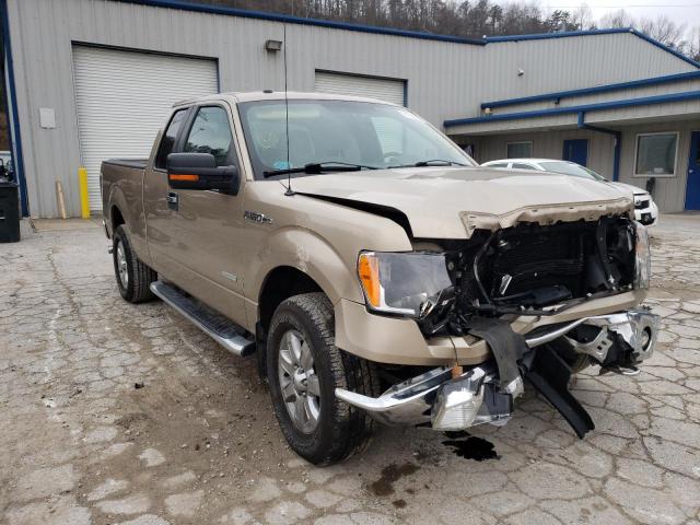 FORD F150 4WD 2013 1ftfx1et6dfa03390