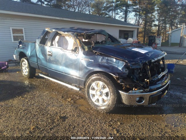 FORD F-150 2013 1ftfx1et6dfa59684