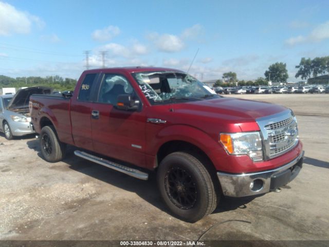 FORD F-150 2013 1ftfx1et6dfd46894