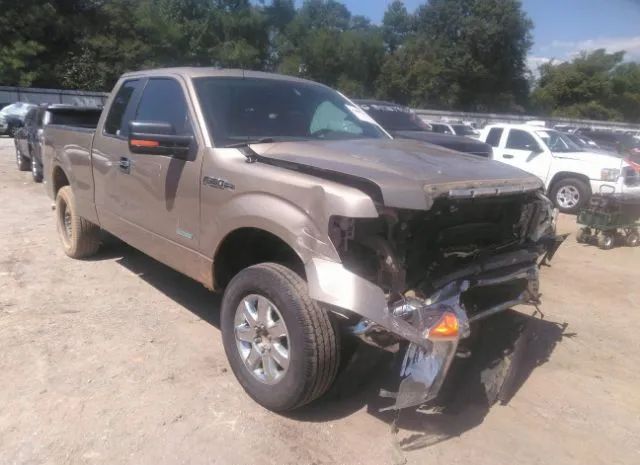 FORD F-150 2013 1ftfx1et6dkf69671