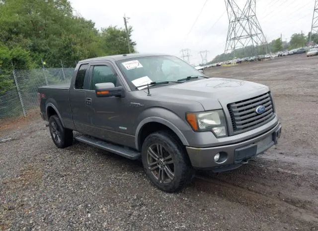 FORD F-150 2011 1ftfx1et7bfa54443