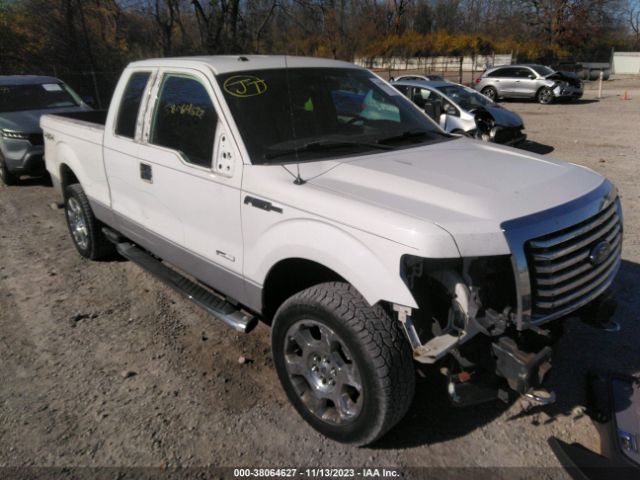 FORD F150 2011 1ftfx1et7bfa84462