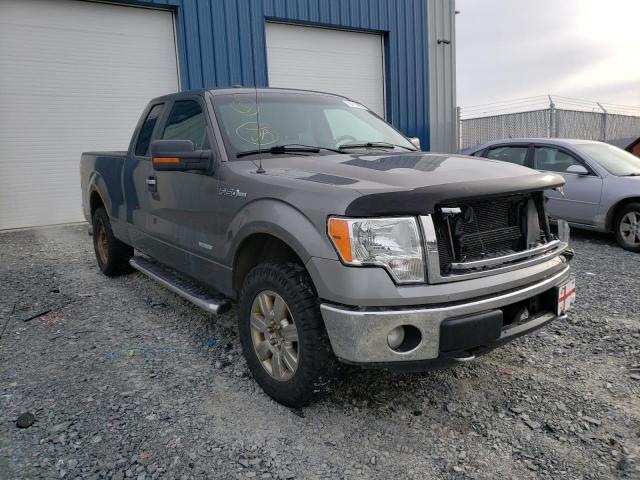 FORD F150 SUPER 2011 1ftfx1et7bfc53721