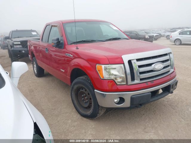 FORD F-150 2011 1ftfx1et7bfc62144