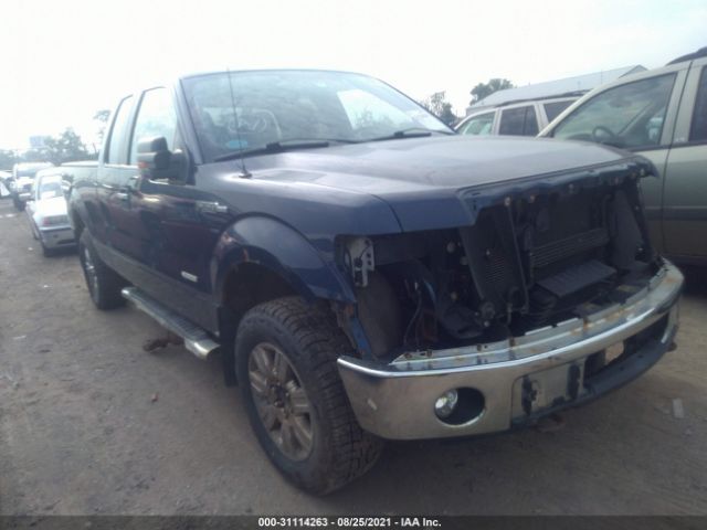 FORD F-150 2011 1ftfx1et7bfd18504