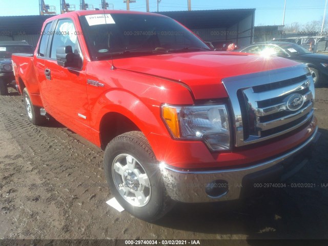 FORD F-150 2011 1ftfx1et7bke15077