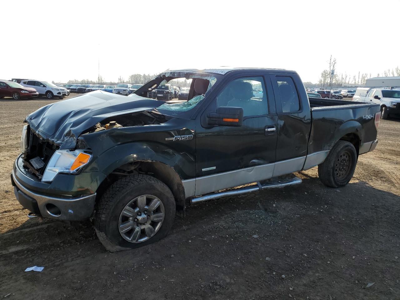 FORD F-150 2012 1ftfx1et7cfc01510