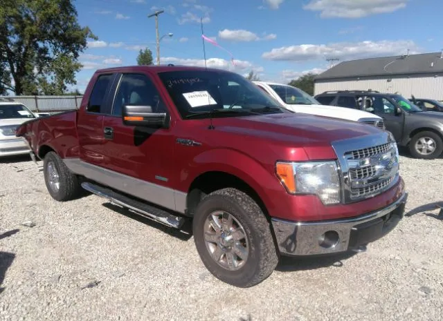 FORD F-150 2013 1ftfx1et7dfa03706