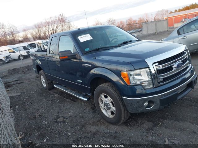 FORD F-150 2013 1ftfx1et7dfa87350